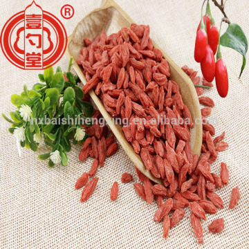 Big grãos bagas goji 180 220 280 380 usda orgânica goji berry para dropshipping